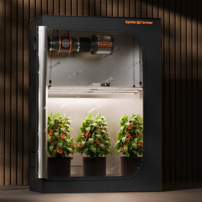 Гроубокс spider farmer