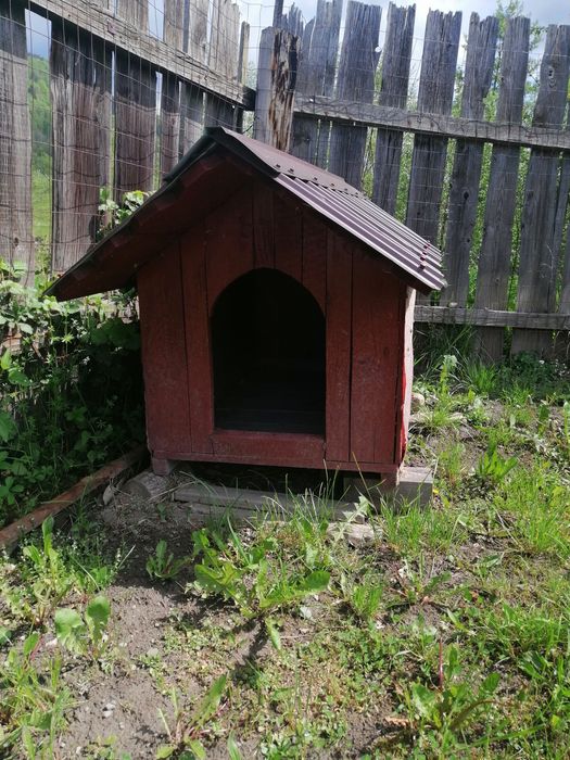 Cușcă căine, stare bună.