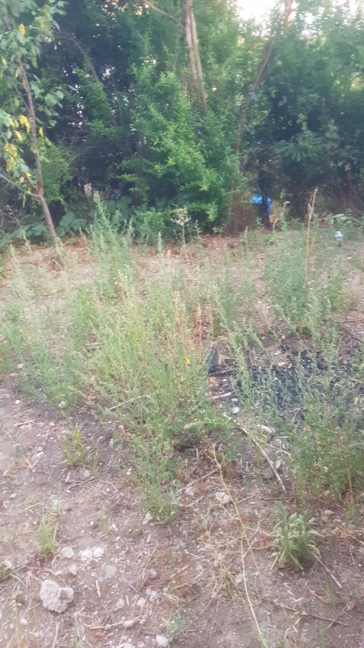 Къща  във село Ладарево
