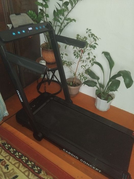 беговая дорошка.