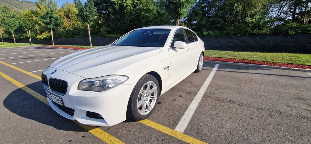 BMW F10 x-drive 2.0 diessel  218 cp