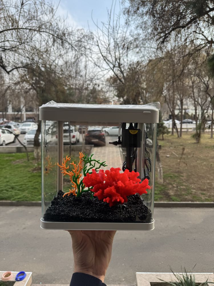 Akvarium va baliq Doʻkoni Mirobod