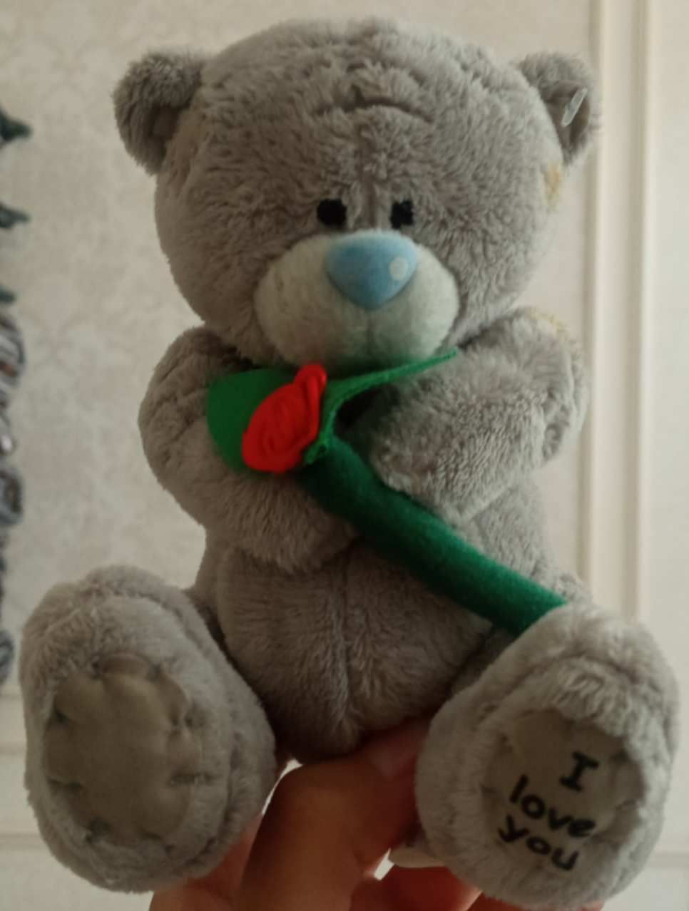 Teddy bear momiq ayiqcha