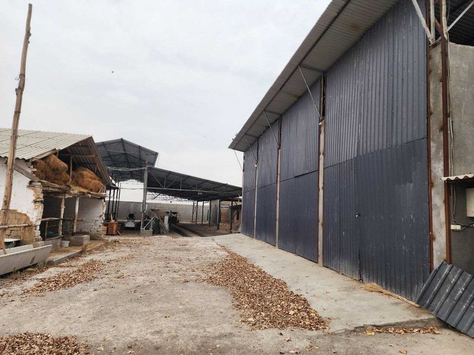 Готовый объект для инвестиций, Ready object for investment, 可供投资的现成标的