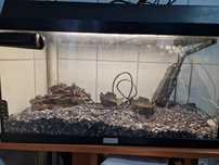 Acvariu pesti 60 l