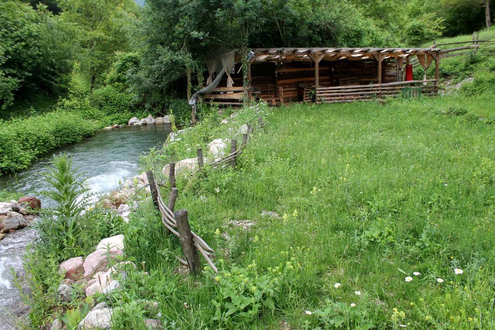 Почистване на  мазета, складове,дворове и обрасли терени