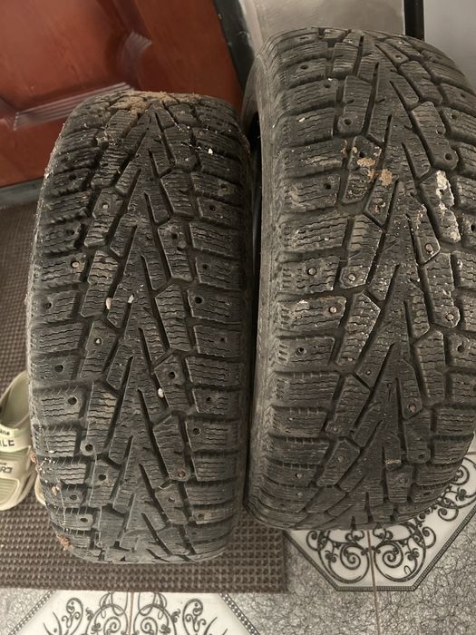 Шипы ………………………..