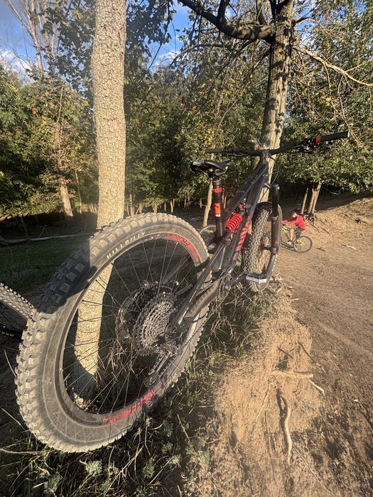 Canyon Torque CF8 URGENT