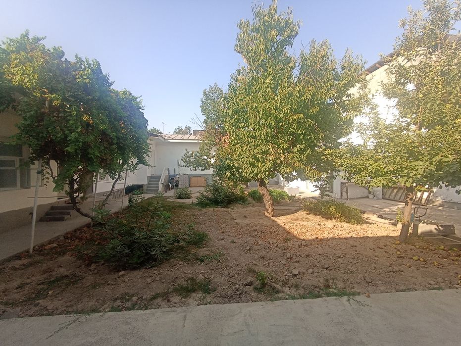 Komolon mahallada uchaska sotiladi 6 sotih