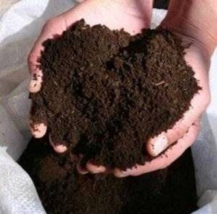 Chernozem biogomus Optom