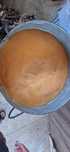 Miere  salcam bio