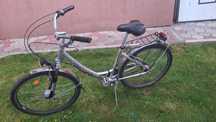 Bicicletă Streetcoach pentru femei