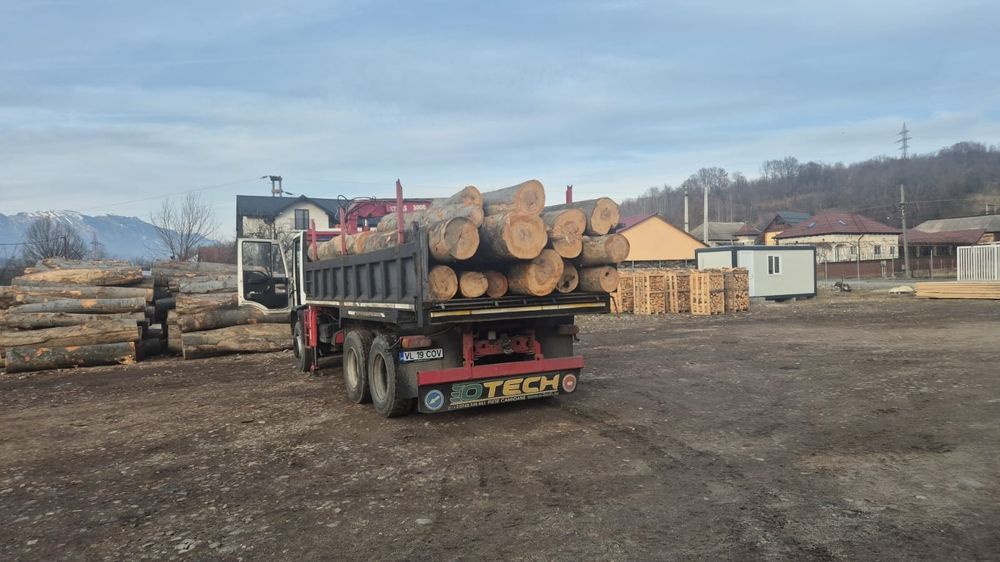 Iveco - Ford Basculabil cu macara forestiera