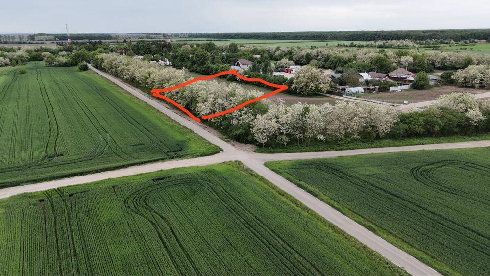 Teren intravilan Gradistea - Moara Vlasiei