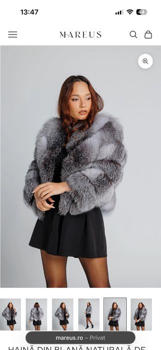 Blana vulpe argintie