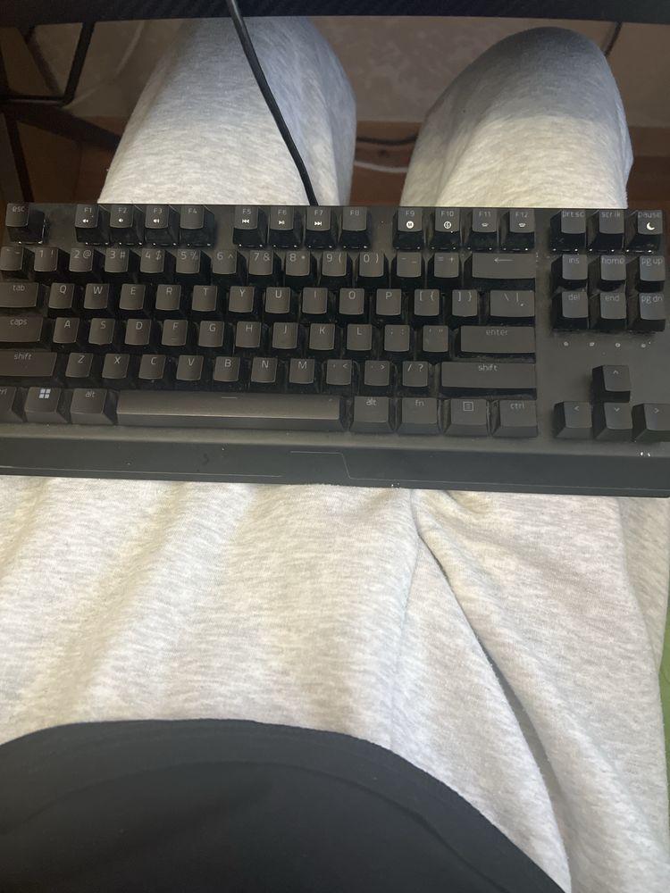 Razer black windov v3