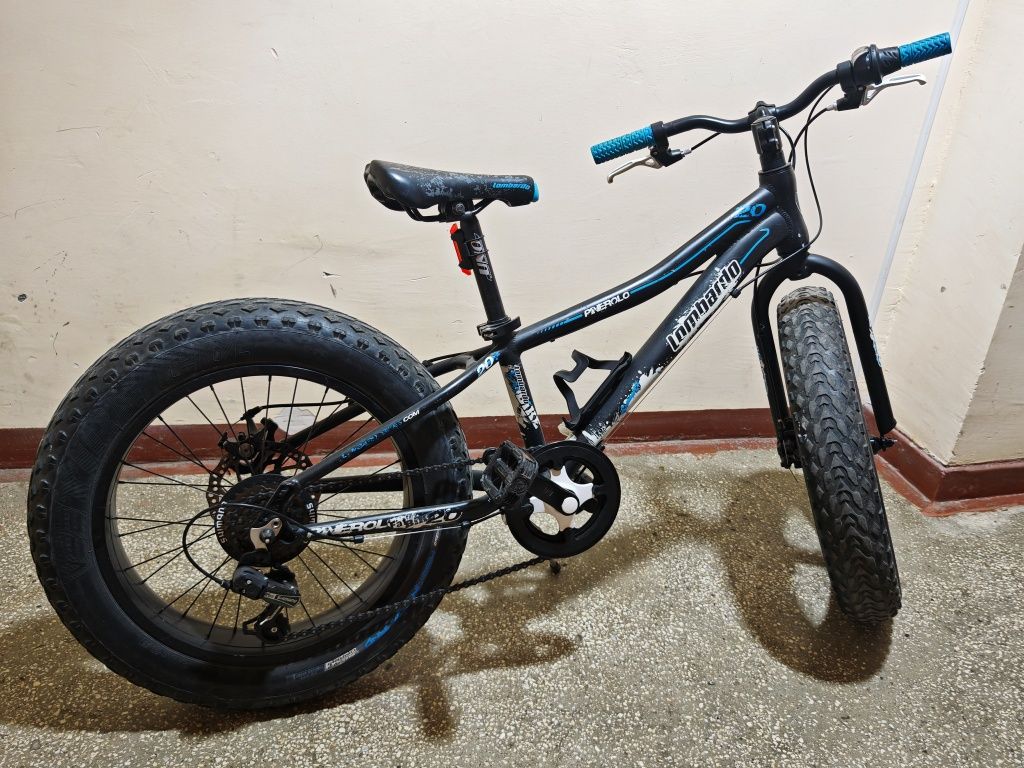 Bicicleta copii 6-10 ani fat bike