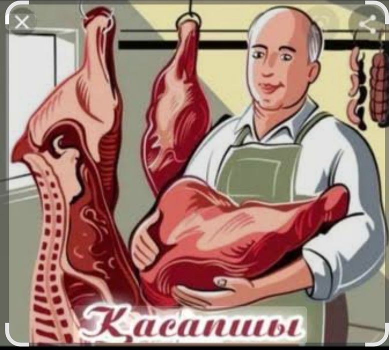 Қасапшы: Жылқы, Сиыр, Қой. Ірі қара...