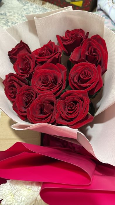 Свежый гүл бугиги