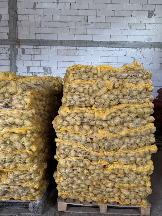 Cartofi olandezi calitate premium