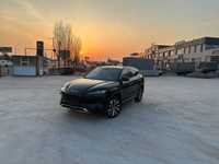 BYD Champion 605km full таййор