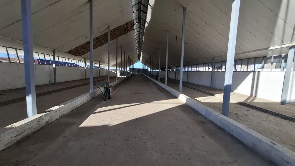 Майскида 7 гектарли ферма сотилади