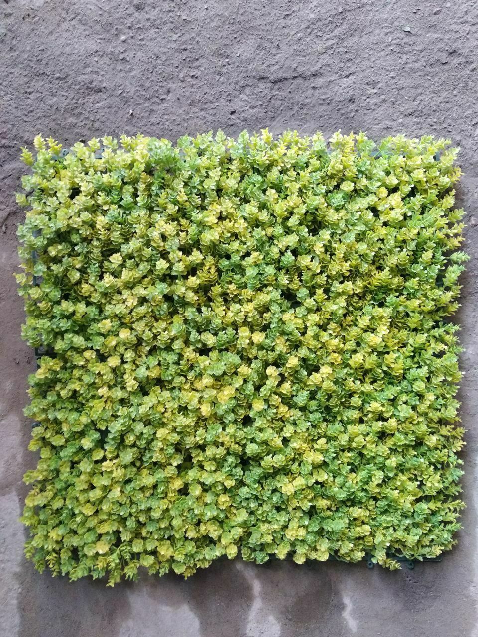 Фито стены озеленение мох цветы искусственный мох  сунний гулар