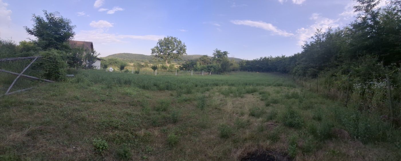 Teren intravilan
