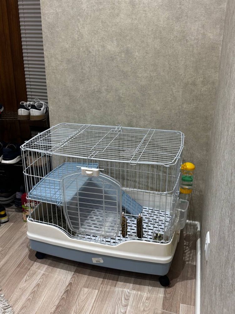 Кролик с клеткой