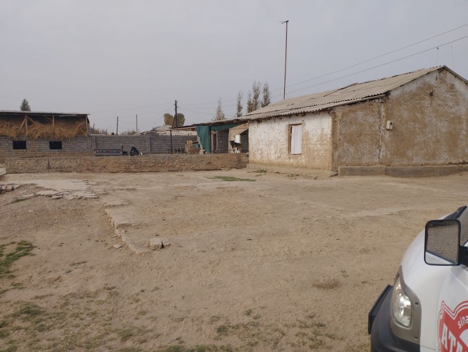 3xonali kafolati bilan