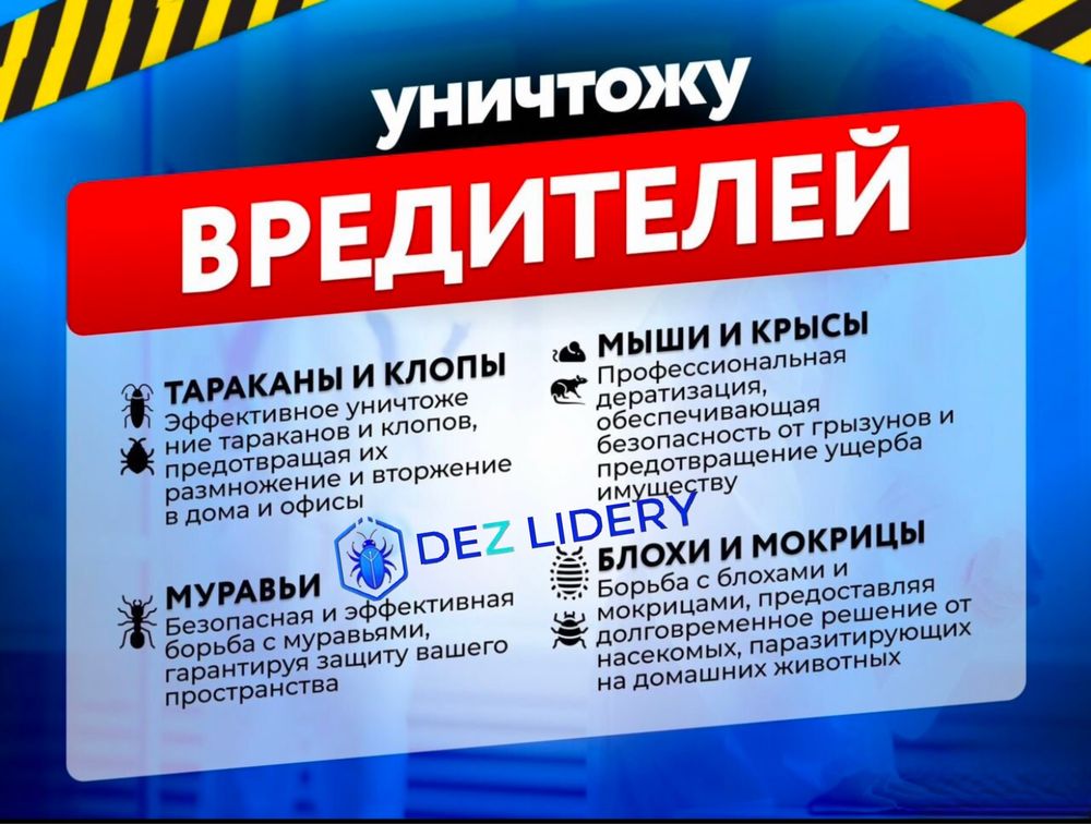 Дезинфекция таракан клоп қандала жук коред мышей крыса в горд Шымкент