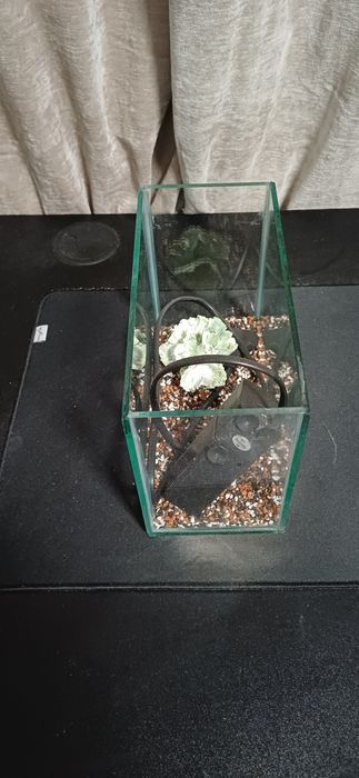 Acvariu pentru pești 3.28L