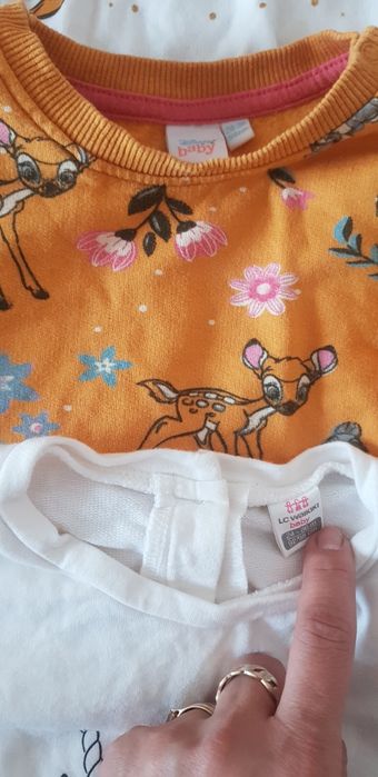 Lot 3 bluzite grosute