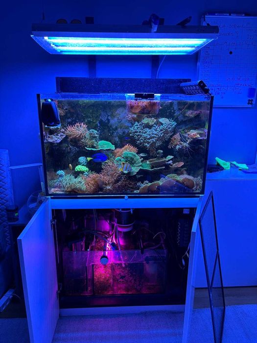Acvariu Marin RedSea Reefer E250 cu echipamente/vietuitoare