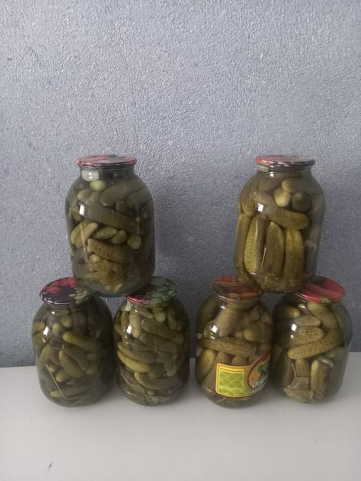 Огурцы 1700 Сатпаев