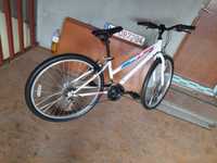 Bicicleta 26 MTB