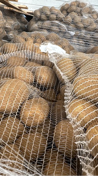 Cartofi origine Franta