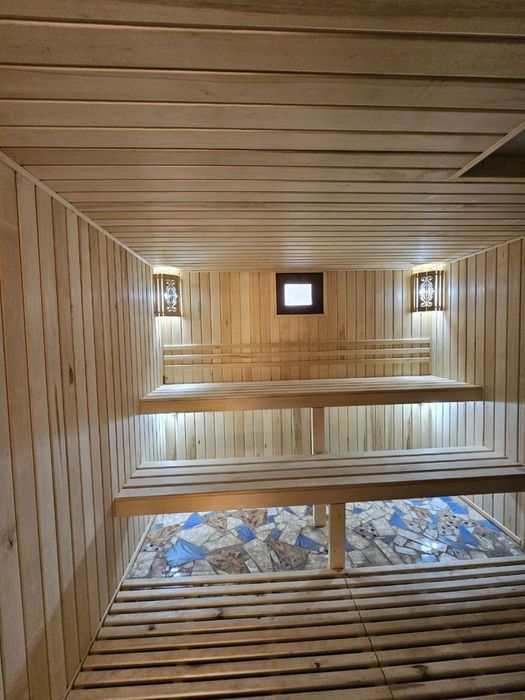 Dacha egalari Mustang