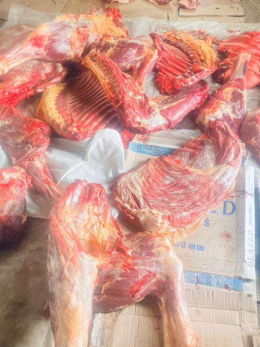 Жабағы сойылған сатылады