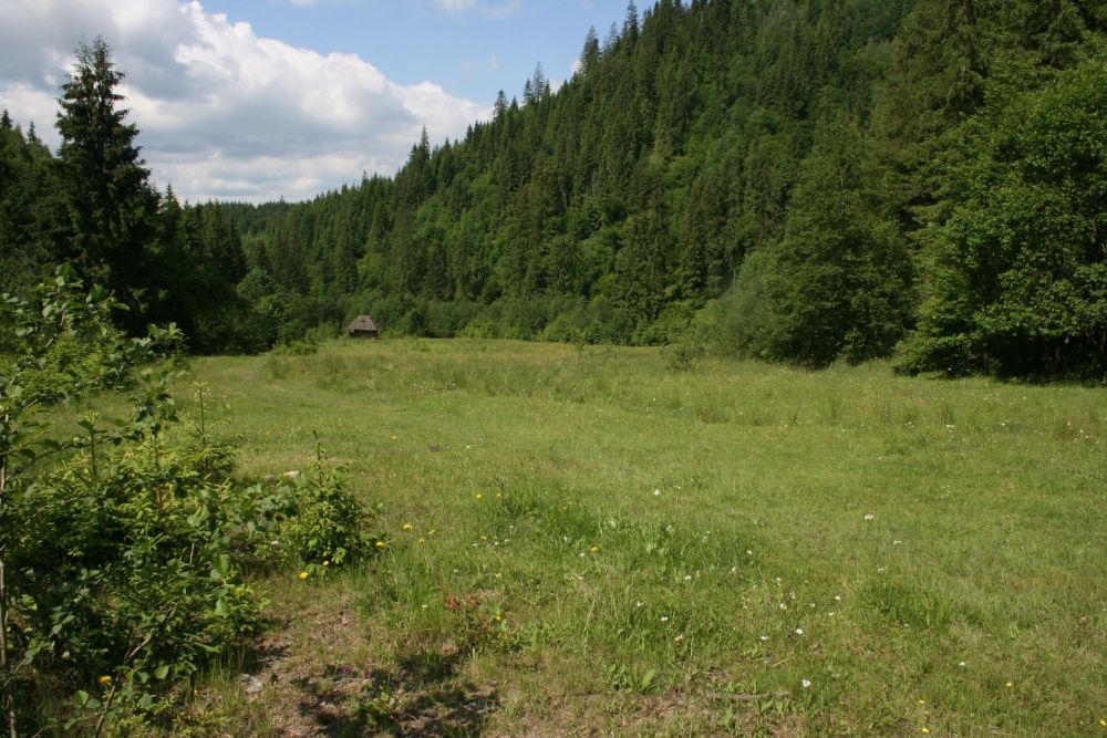 Vand teren pentru pensiune/cabana in Campulung Moldovenesc