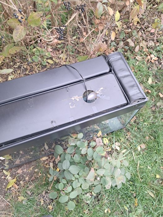 Acvariu de 100 de litri