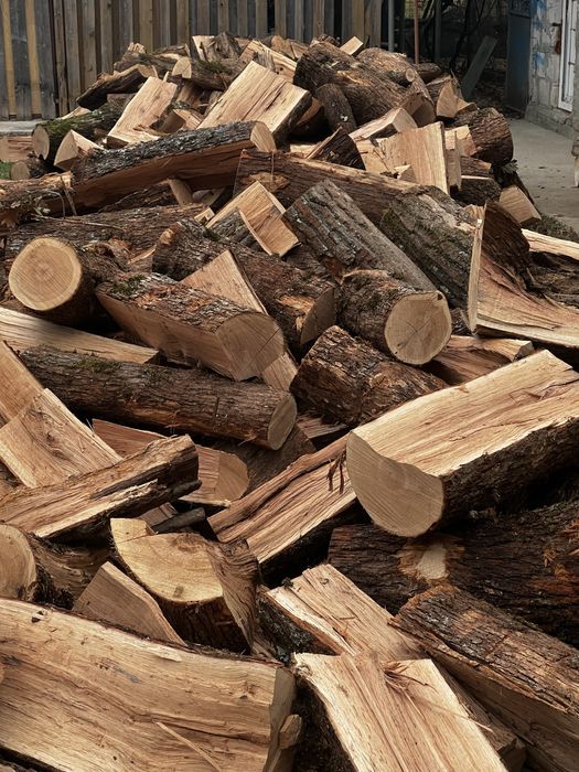 Lemn esenta tare transport gratuit