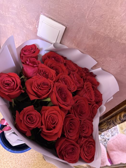 Роза 25 штук галадниские