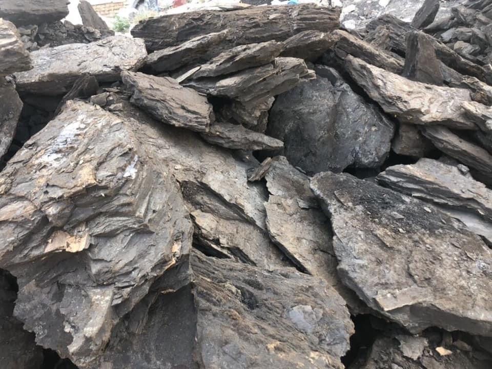 Cărbune Lignit //600 de lei tona//