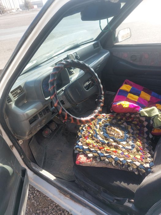 Дайво тико сотилади.