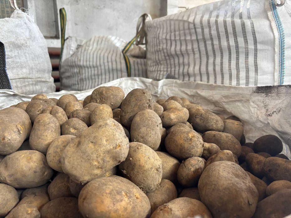 Cartofi albi, calibrul 55+, in biguri