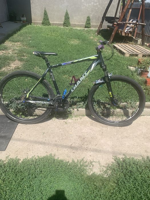 Hartail giant aluxx