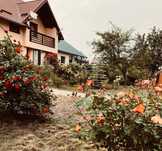 Casă de vânzare în Măzănăiești, județul Suceava