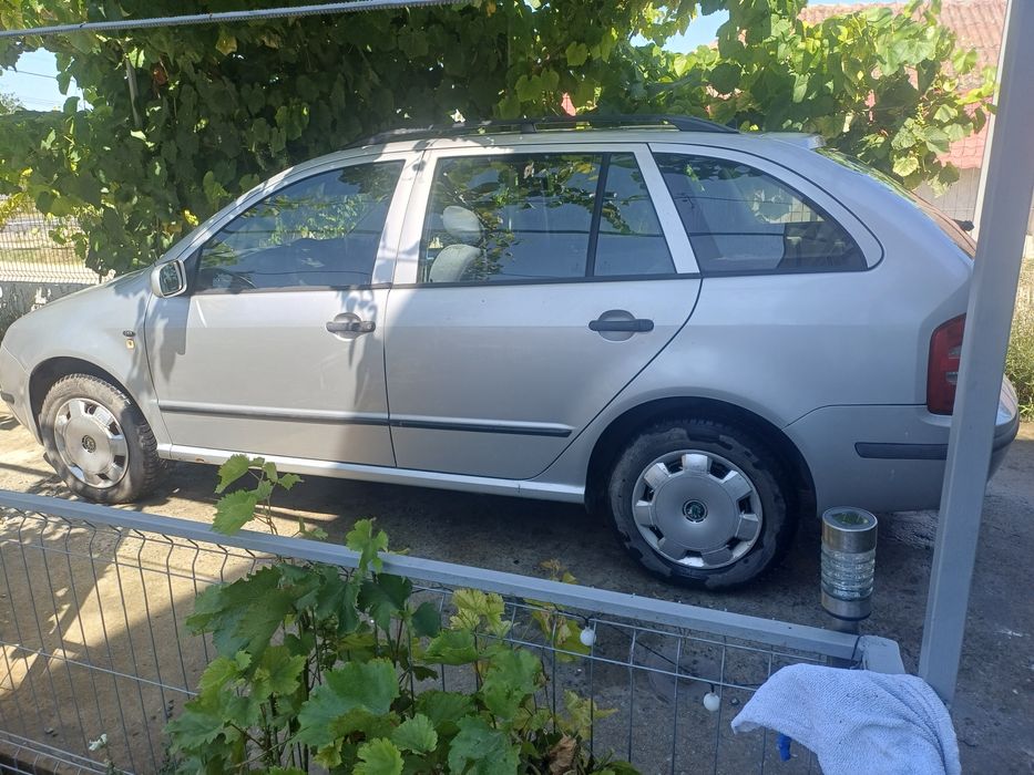 Vand Skoda Fabia!