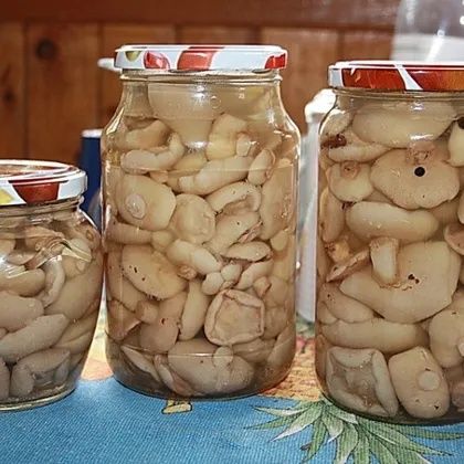 продам грибы  маслята